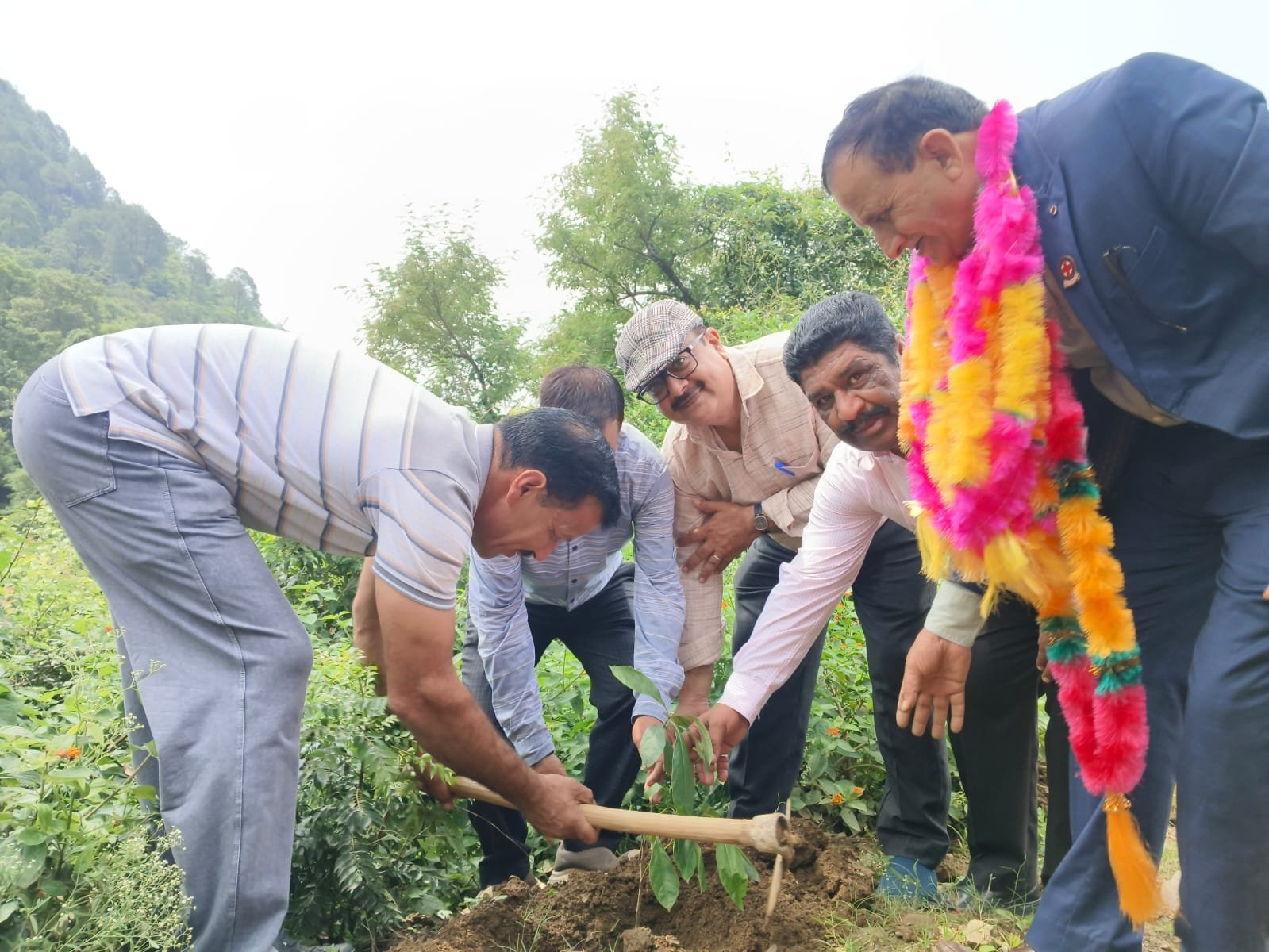 Plantation drive by the Organization in August 2026